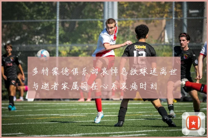 多特蒙德俱乐部哀悼急救球迷离世与逝者家属同在心系哀痛时刻